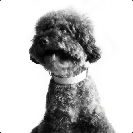 เมื่อต้องรอ (waiting eyes)