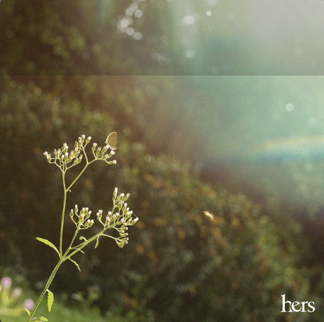 ทุกความหมาย (you)