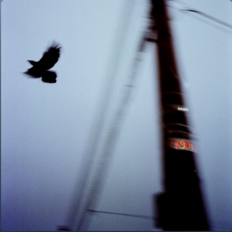 สุดท้ายก็คงต้องมีแค่เรา