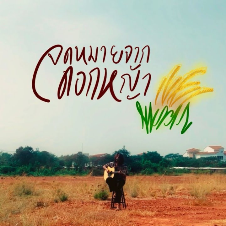 จดหมายจากดอกหญ้า