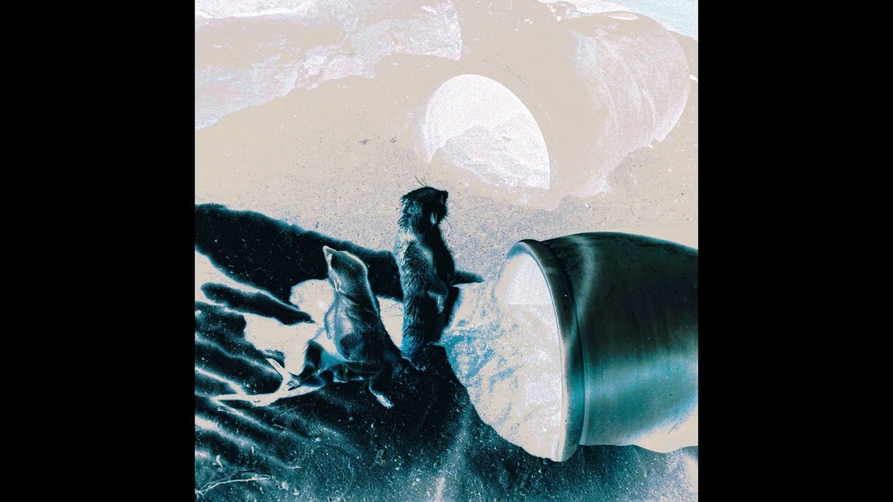 Sand Trips